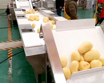 土豆絲凈菜加工生產線
